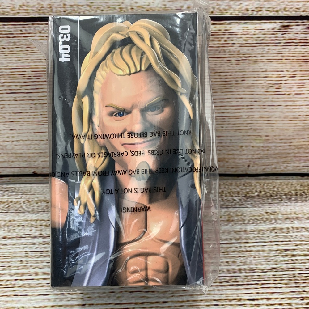 Loot Crate WWE Slam Stars Series 3 Chris Jericho Y2J Action Figure NEW‎ 2019